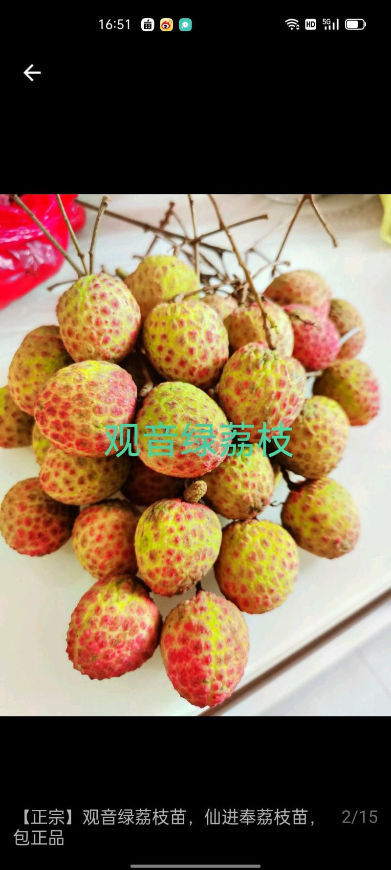 各种品种，规格大小欢迎亲们各位老板下单