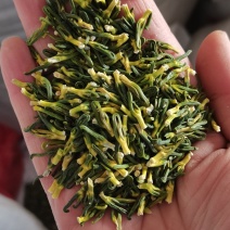 莲子芯莲子心茶莲心干净无杂质泡茶颜色好