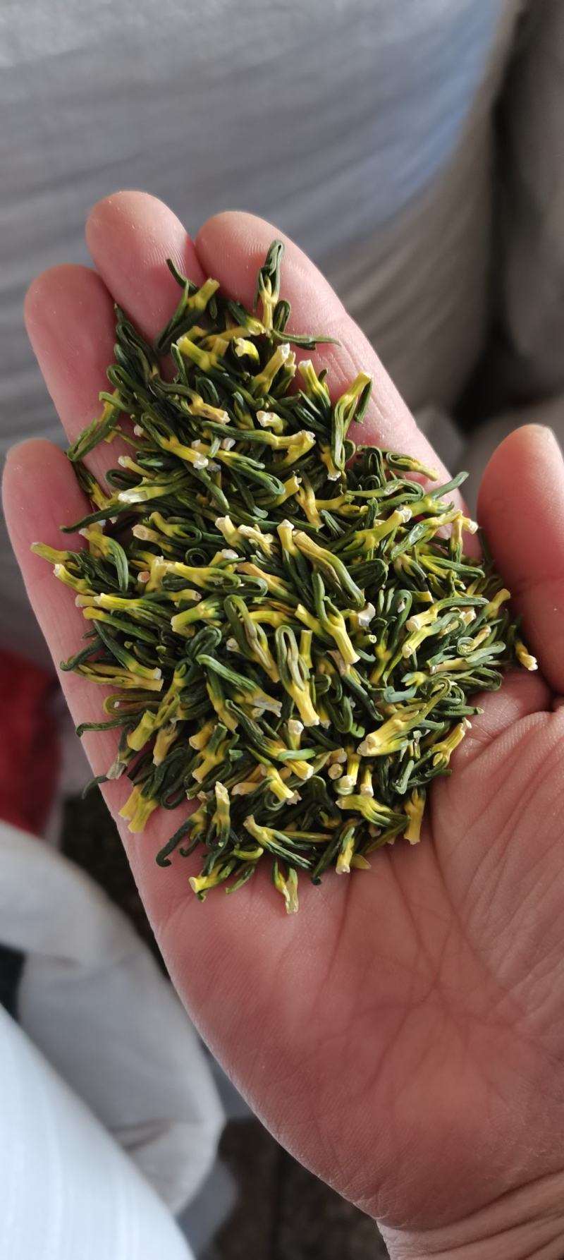 莲子芯莲子心茶莲心干净无杂质泡茶颜色好