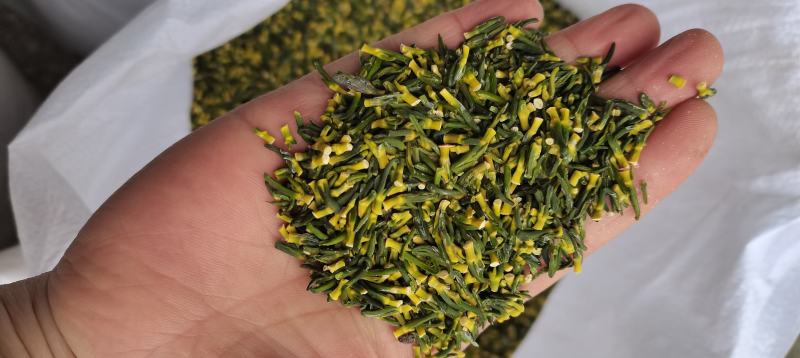 莲子芯莲子心茶莲心干净无杂质泡茶颜色好