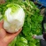 山东聊城白菜大量供货，黄心菊锦，保质保量，全国发货