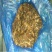 玉米芯。玉米秸秆青贮饲料(散装)大量出售。