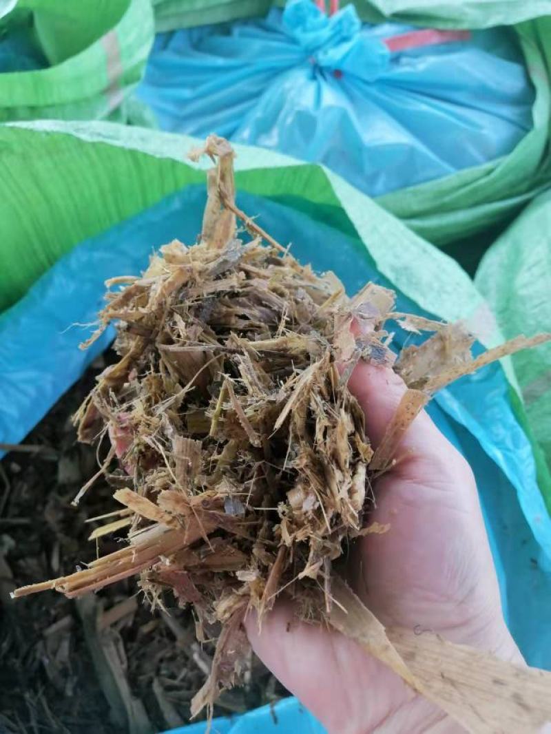 玉米芯。玉米秸秆青贮饲料（散装）大量出售。