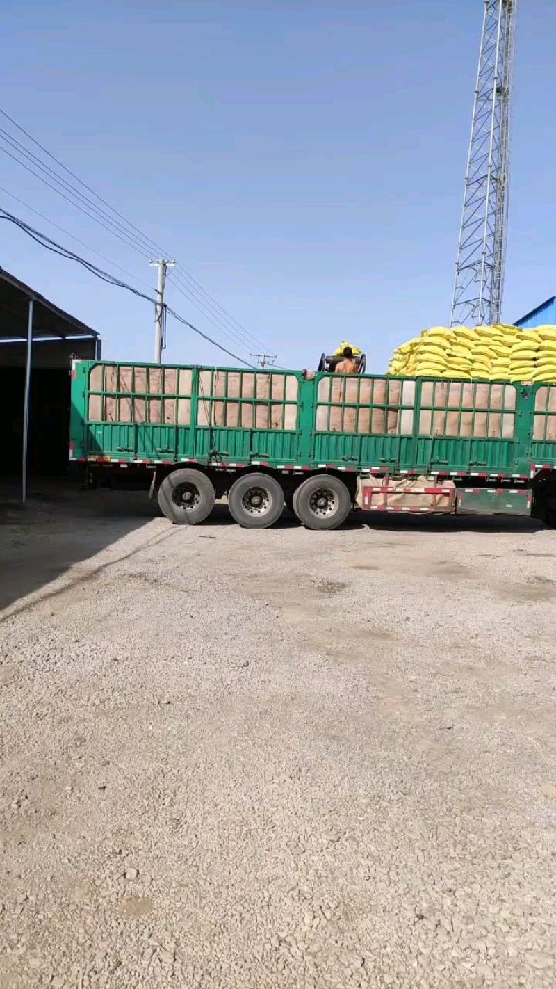 【育土基质】有机育苗基质育苗基质山东产地直发基质土电联