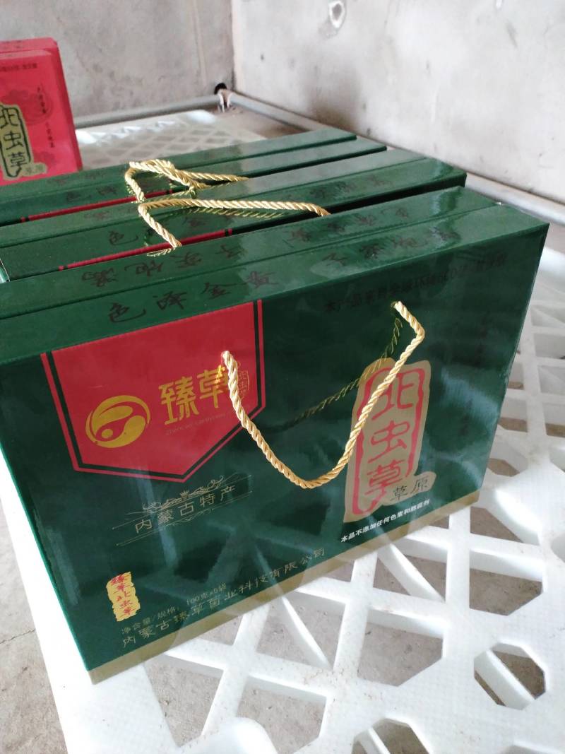 小包装虫草花100克去根干净适合礼品走高端市场虫草花煲汤