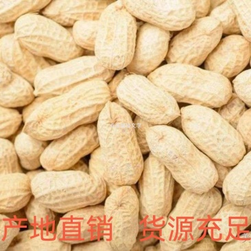 精选徐花23小珍珠花生，基地种植，产地直供。