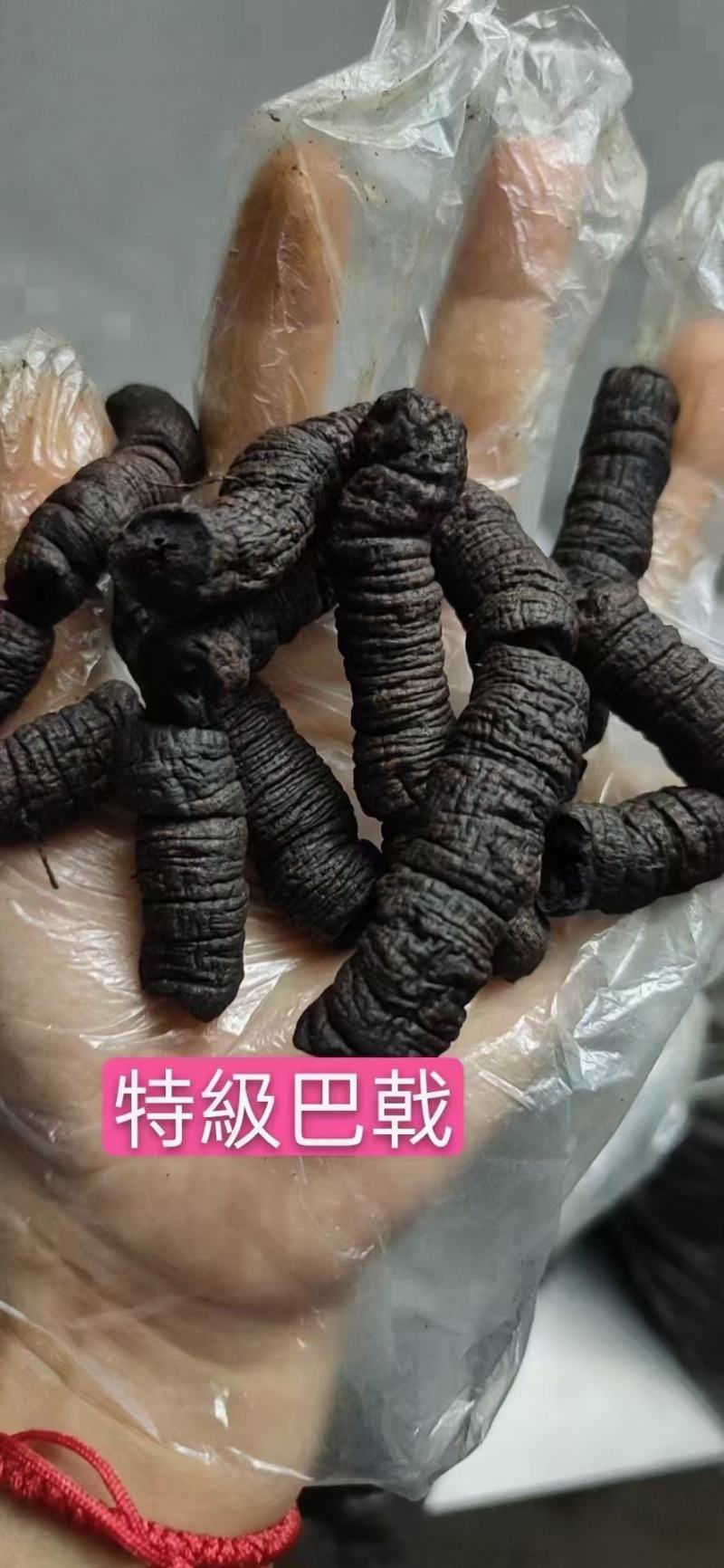 广东德庆抽心精制巴戟天九蒸十晒可即食煲汤泡酒佳品