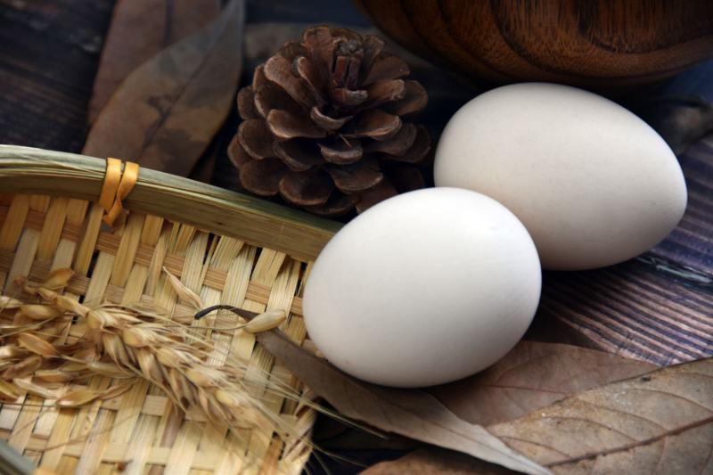 江西泰和乌鸡蛋360枚，富硒食品/叶酸含量高