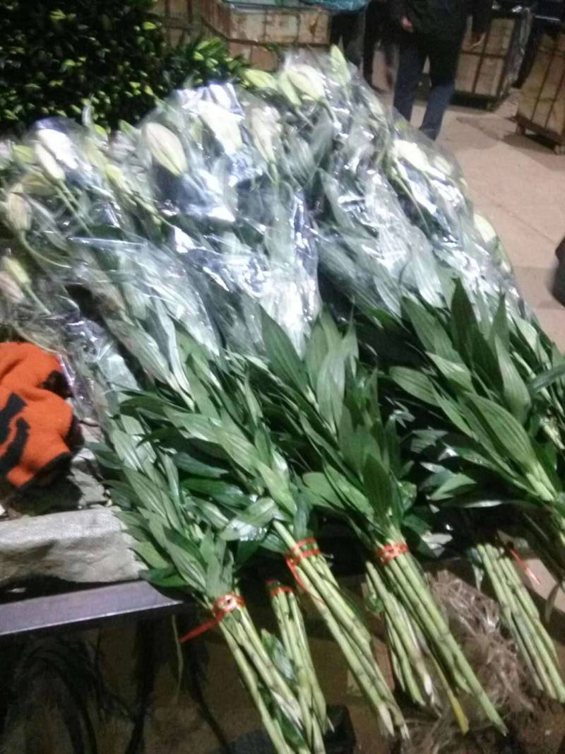 东北百合小菊郁金香鲜切花基地大量批发直发