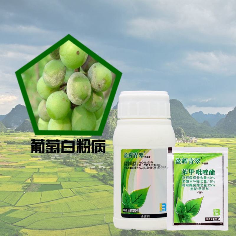 盈辉青翠苯甲·吡唑酯白粉病炭疽病叶斑病农药批发草莓蔬菜