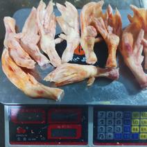 进口大鸭掌大鸭爪一斤9至10个产品能开检疫手续