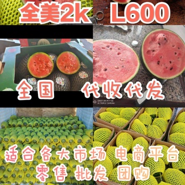 L600，牛奶西瓜，冰淇淋小糖丸西瓜手掰小西瓜小糖丸西瓜