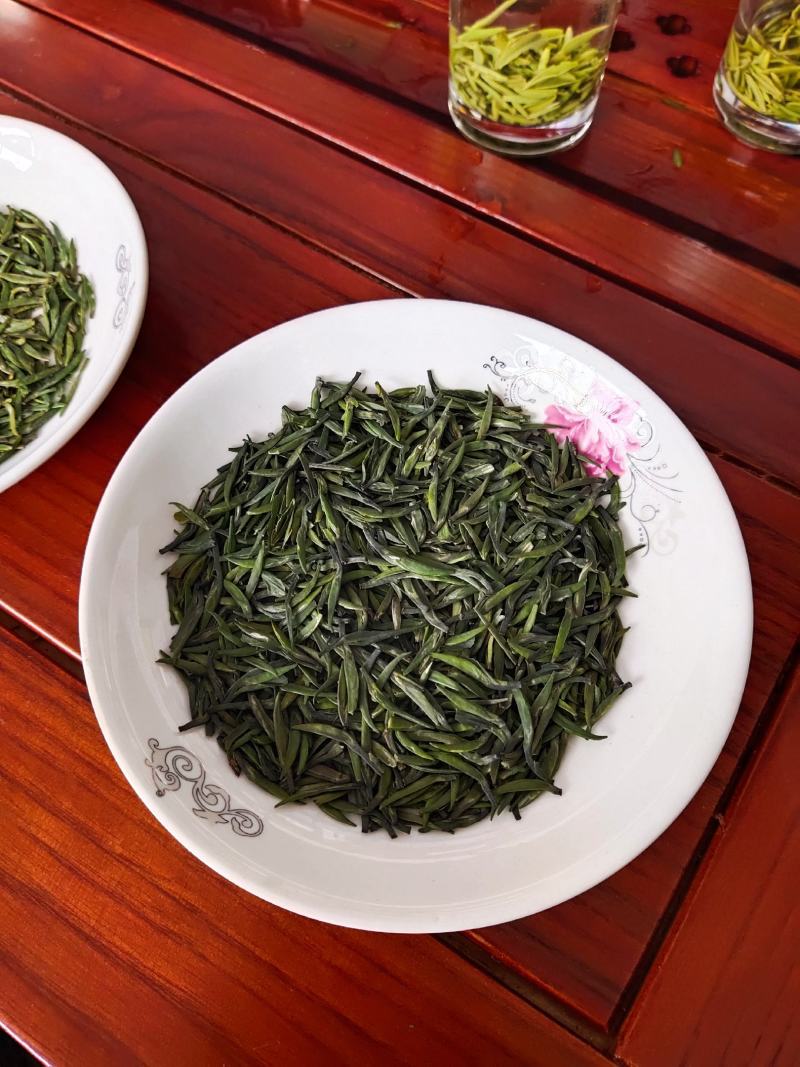 湄潭翠芽