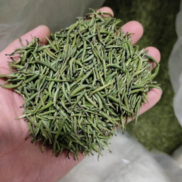 湄潭翠芽