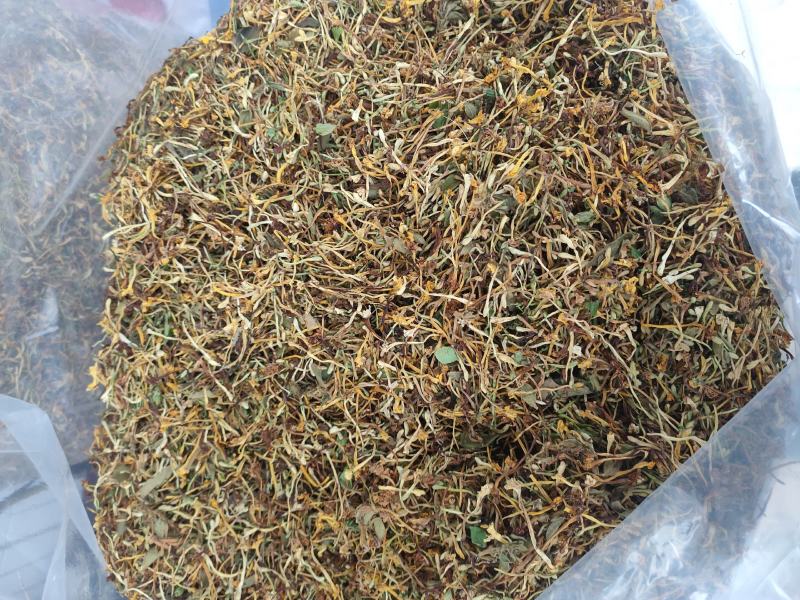 正宗深山野生金银花金银花茶
