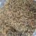 正宗深山野生金银花金银花茶