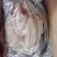 越南正关进口开背巴沙鱼真空包装