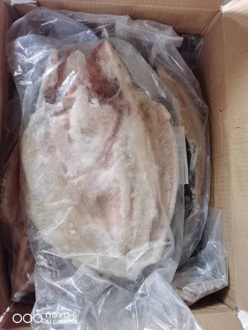 越南正关进口开背巴沙鱼真空包装