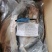 越南正关进口开背巴沙鱼真空包装