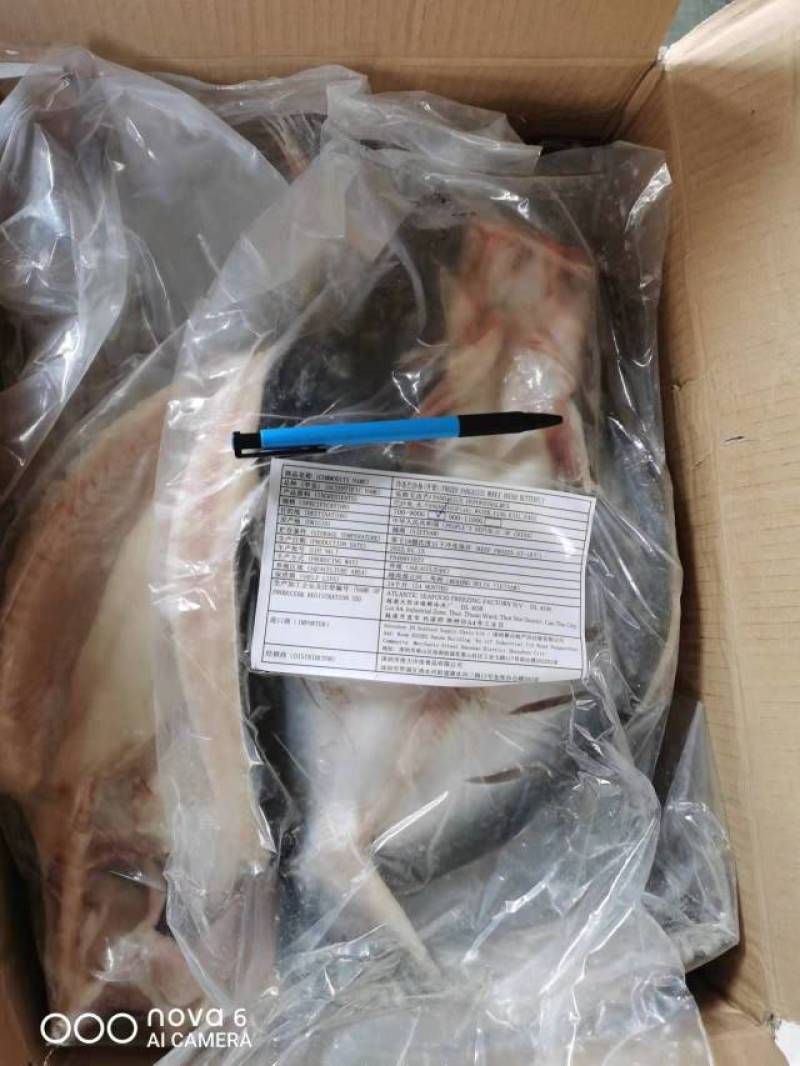 越南正关进口开背巴沙鱼真空包装