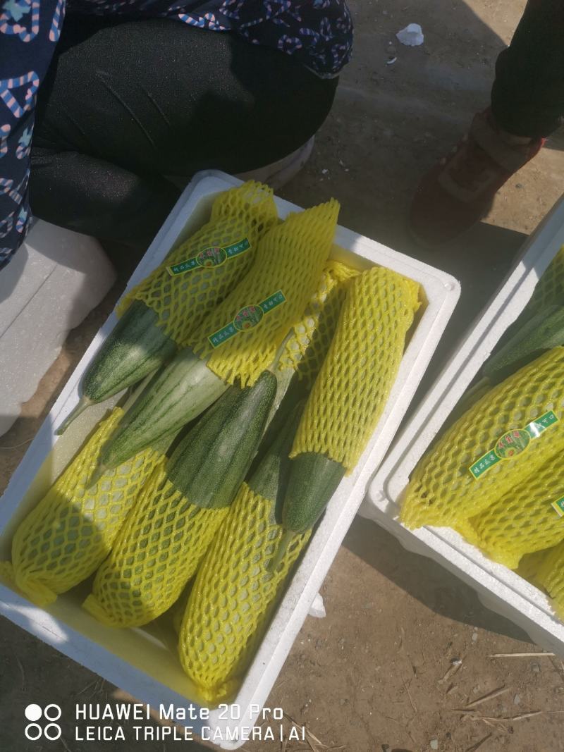 山东潍坊羊角蜜大量上市口感脆甜糖度高欢迎咨询