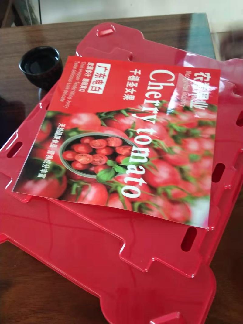 广东电白老千禧圣女果一原产地社区团购，电商，超市一件代发