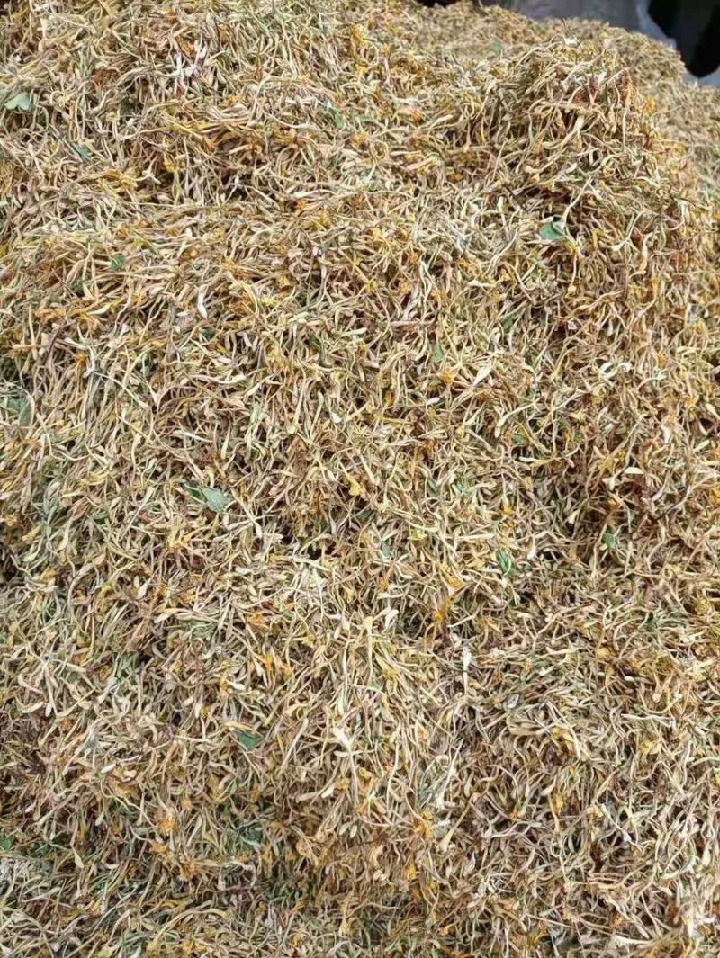 野生金银花需要老板过来看看有现货可以带样品