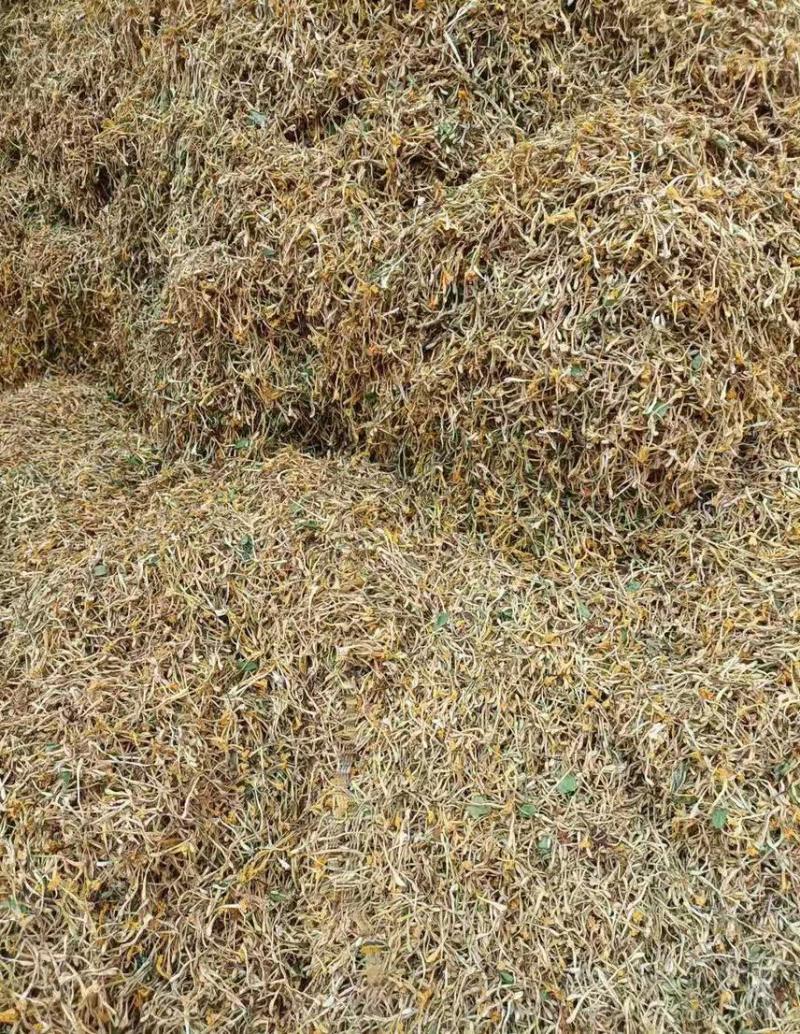野生金银花需要老板过来看看有现货可以带样品