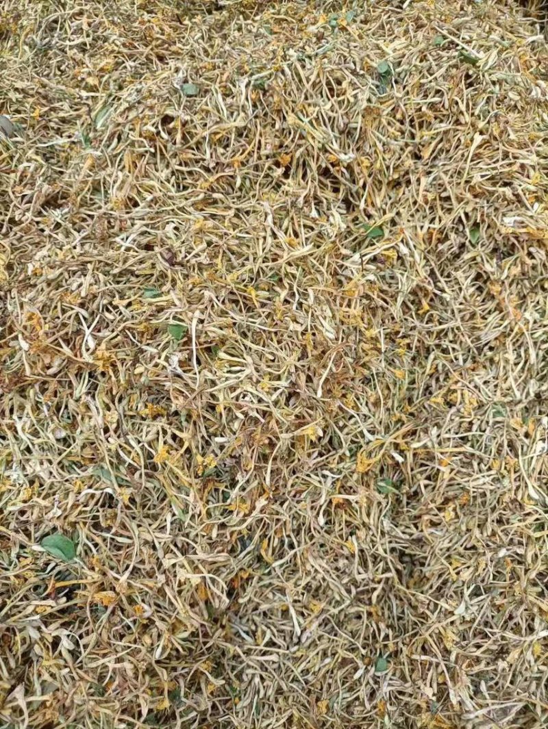 野生金银花需要老板过来看看有现货可以带样品