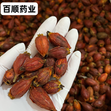栀子颜色好看纯干货一手货源量大从优