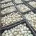 鲜鸭蛋哑子蛋裂纹蛋规格齐全对接全国各大市场批发