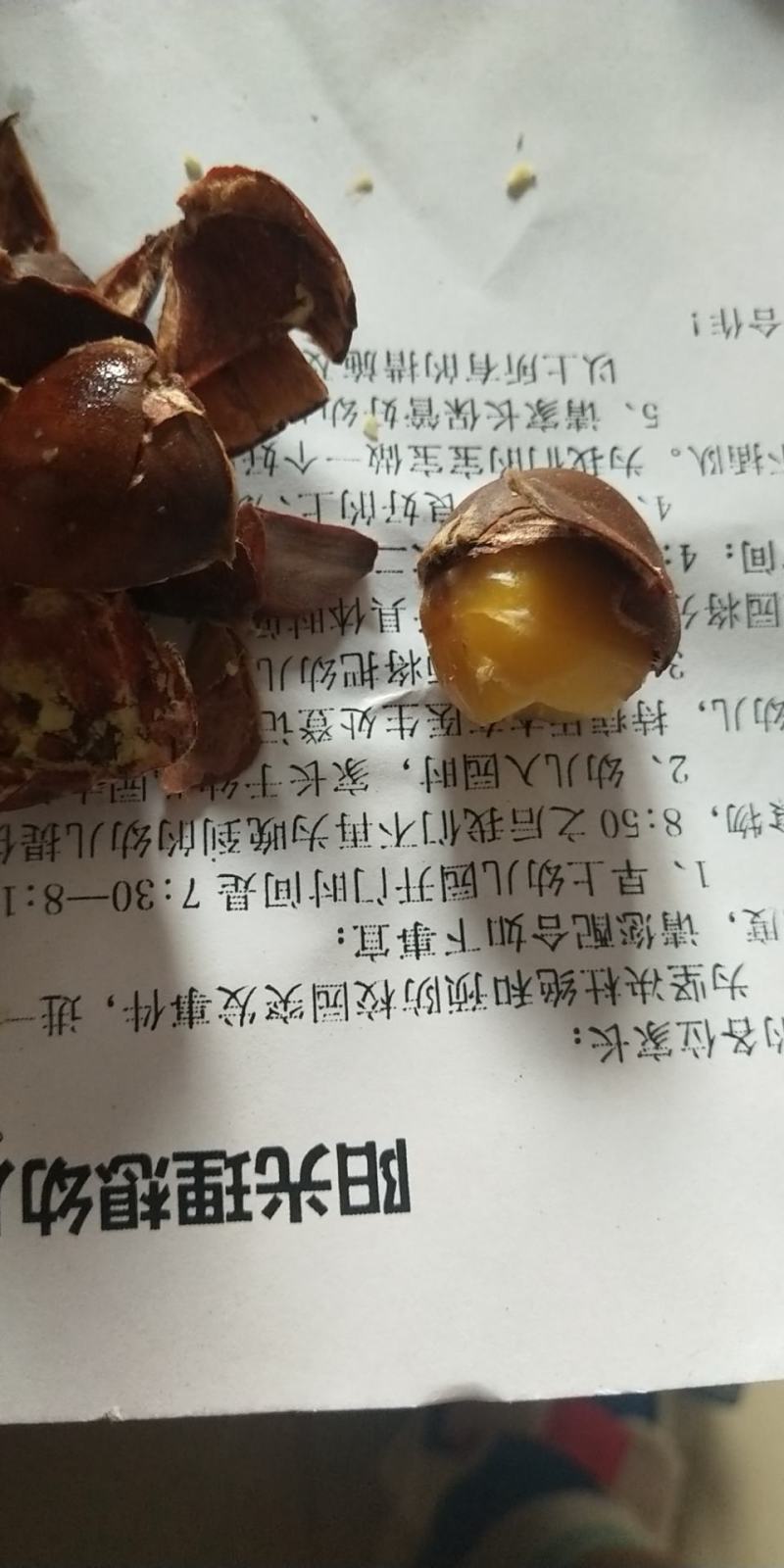 正迁西板栗标栗