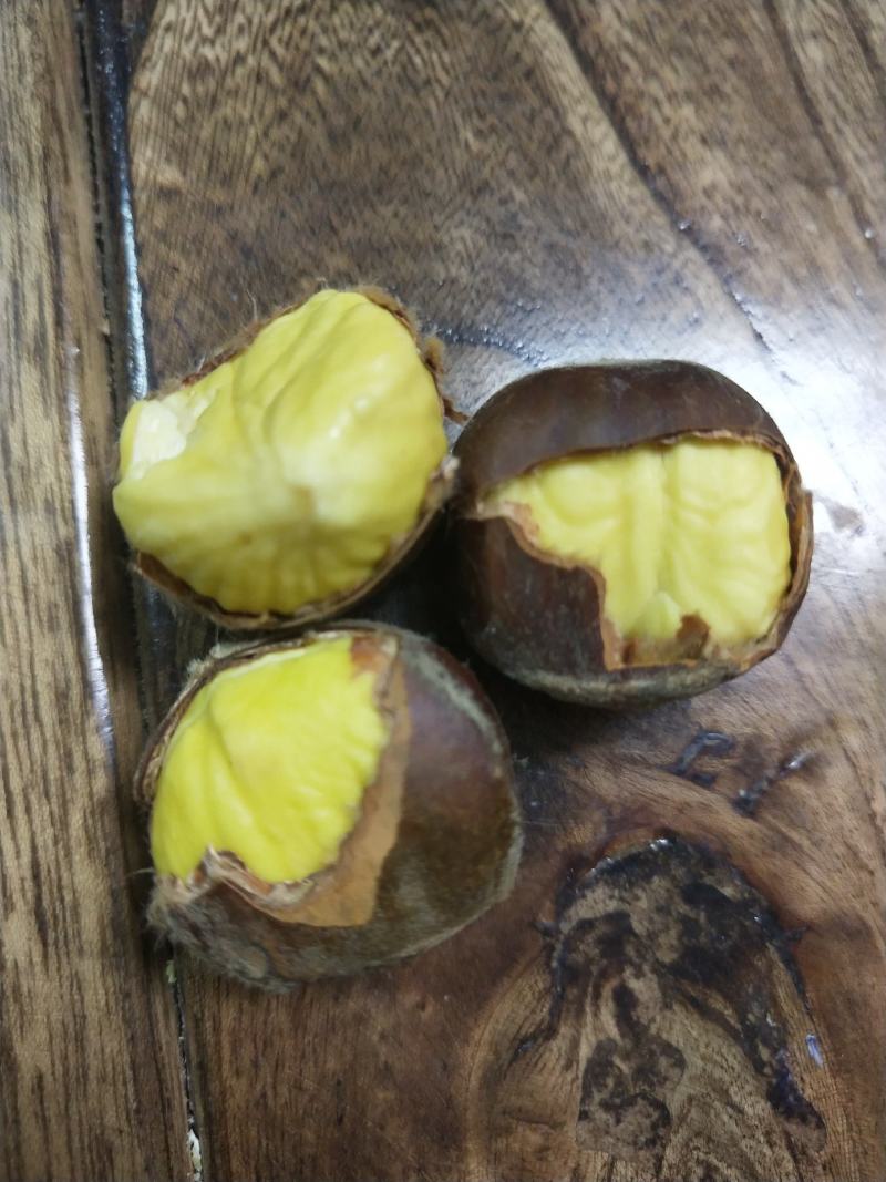 正迁西板栗标栗