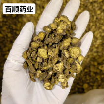 黄芩今年新货颜色好看一手货源量大从优统货