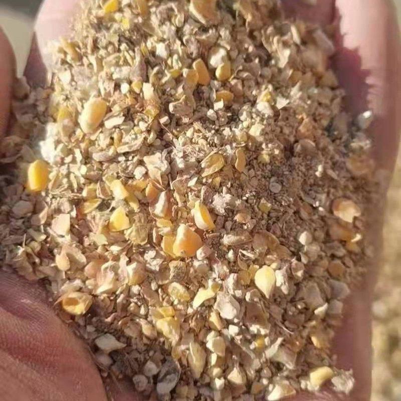 碎玉米厂家直销无土无沙无霉变适用于各大饲料厂，养殖户