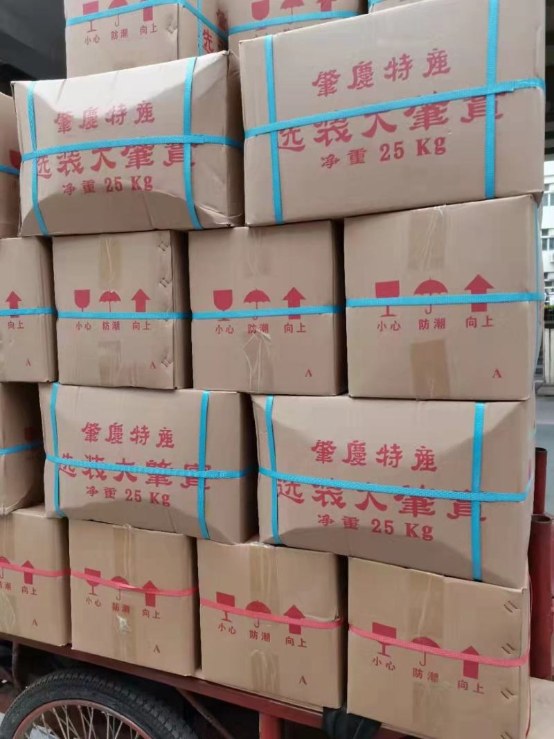 【好货】芡实米肇庆芡实米鸡头米规格齐全24小时发货