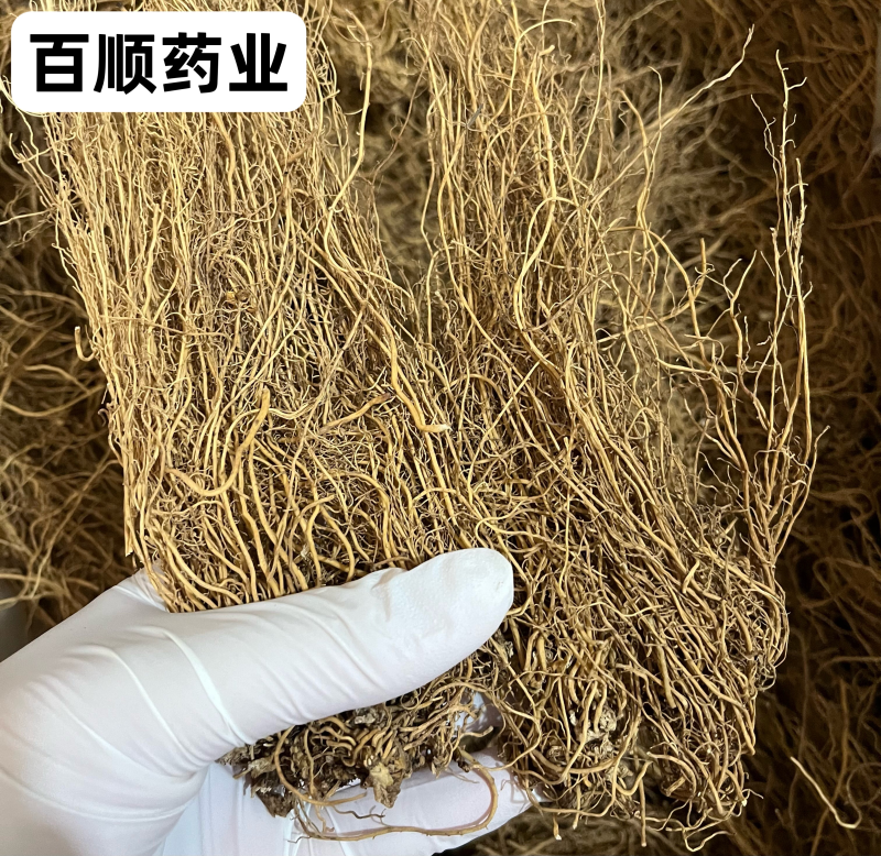 细辛无硫货干颜色好看产地直销量大从优