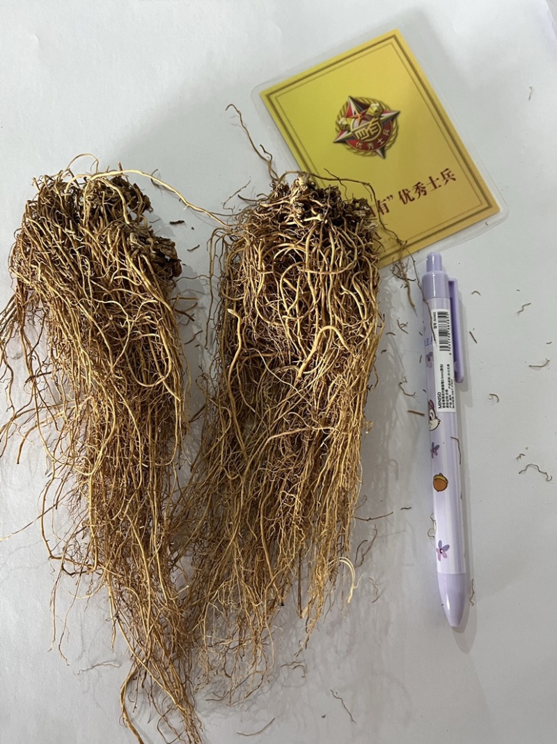 细辛无硫货干颜色好看产地直销量大从优