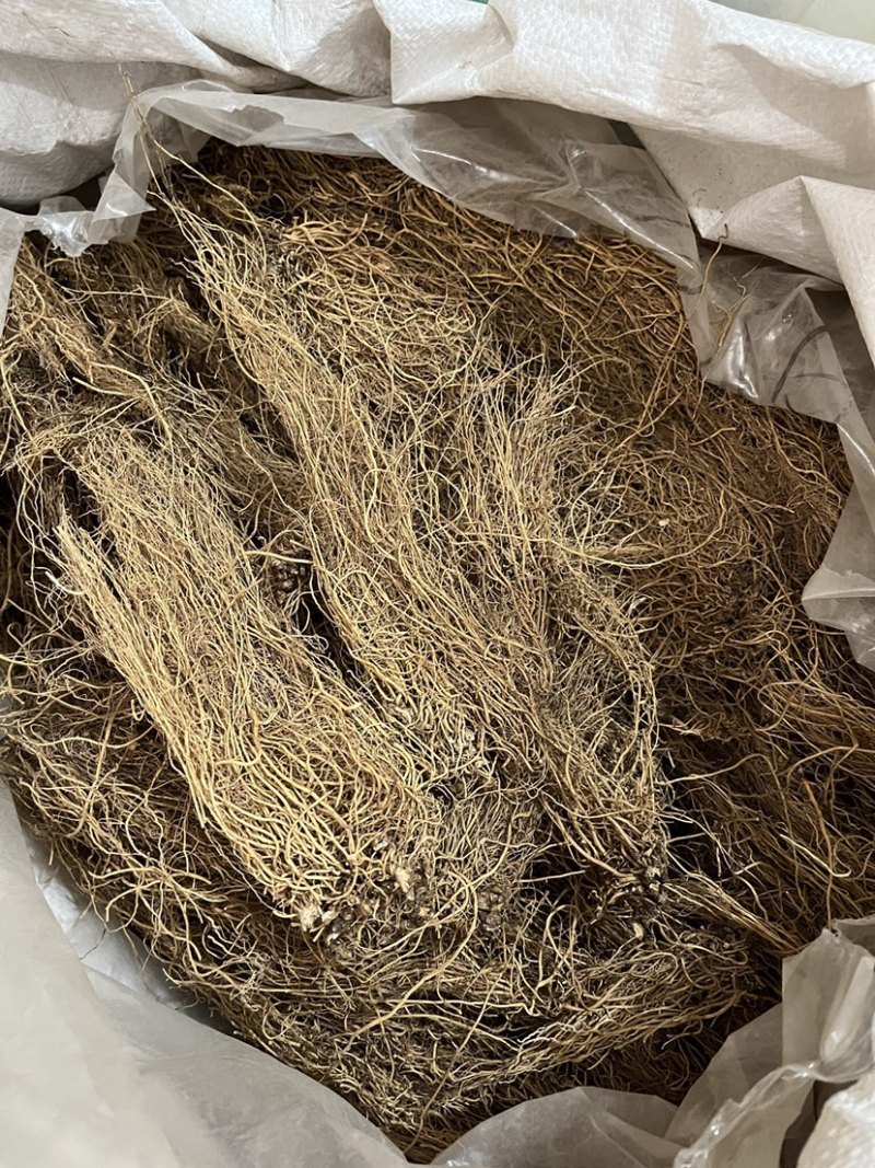 细辛无硫货干颜色好看产地直销量大从优