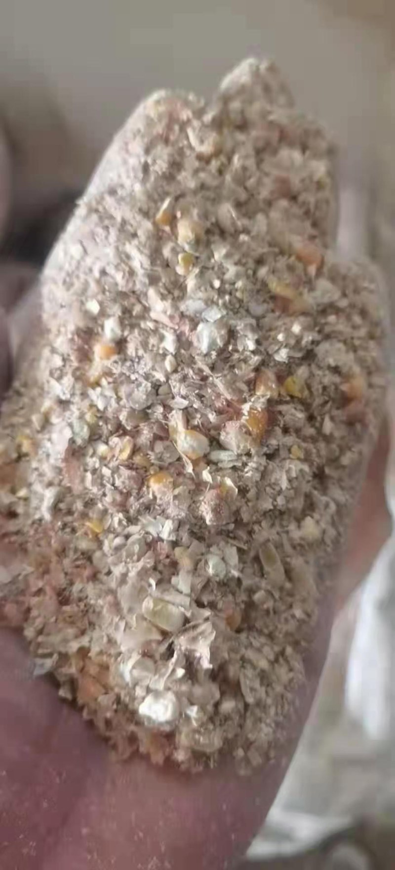 烘干粮碎玉米，养殖户（喂鸡鸭鹅）用降低成本
