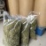 金银花一手货源颜色纯青色含量高无杂质干货量大从优