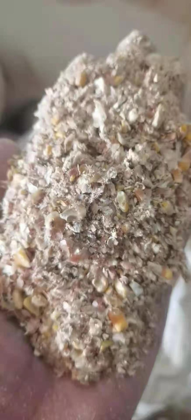 烘干粮碎玉米，养殖户（喂鸡鸭鹅）用降低成本