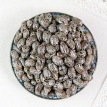 蓖麻子蓖麻子药用非种子颗粒饱满均匀一公斤起