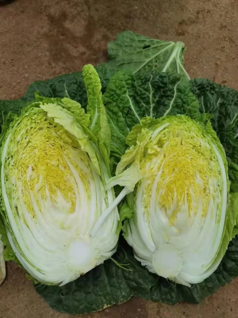 本人代各种蔬菜