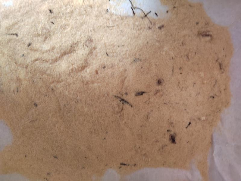 毛慈菇果夹，陕西宽叶毛慈菇种籽，一手货源，质量保证