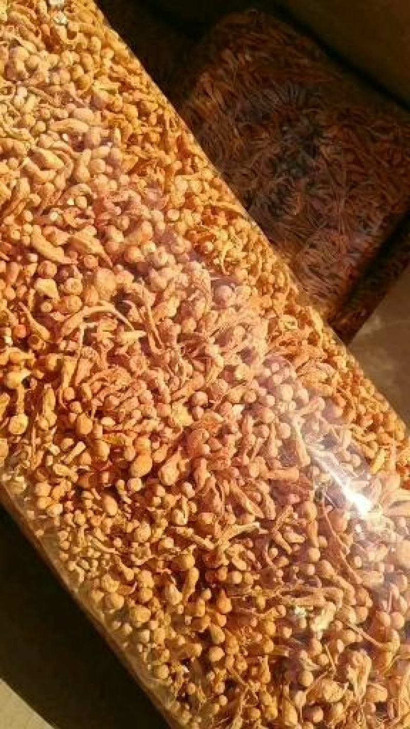 地道内蒙无硫虫草花，常年现货供应，手工精造，质好价优。