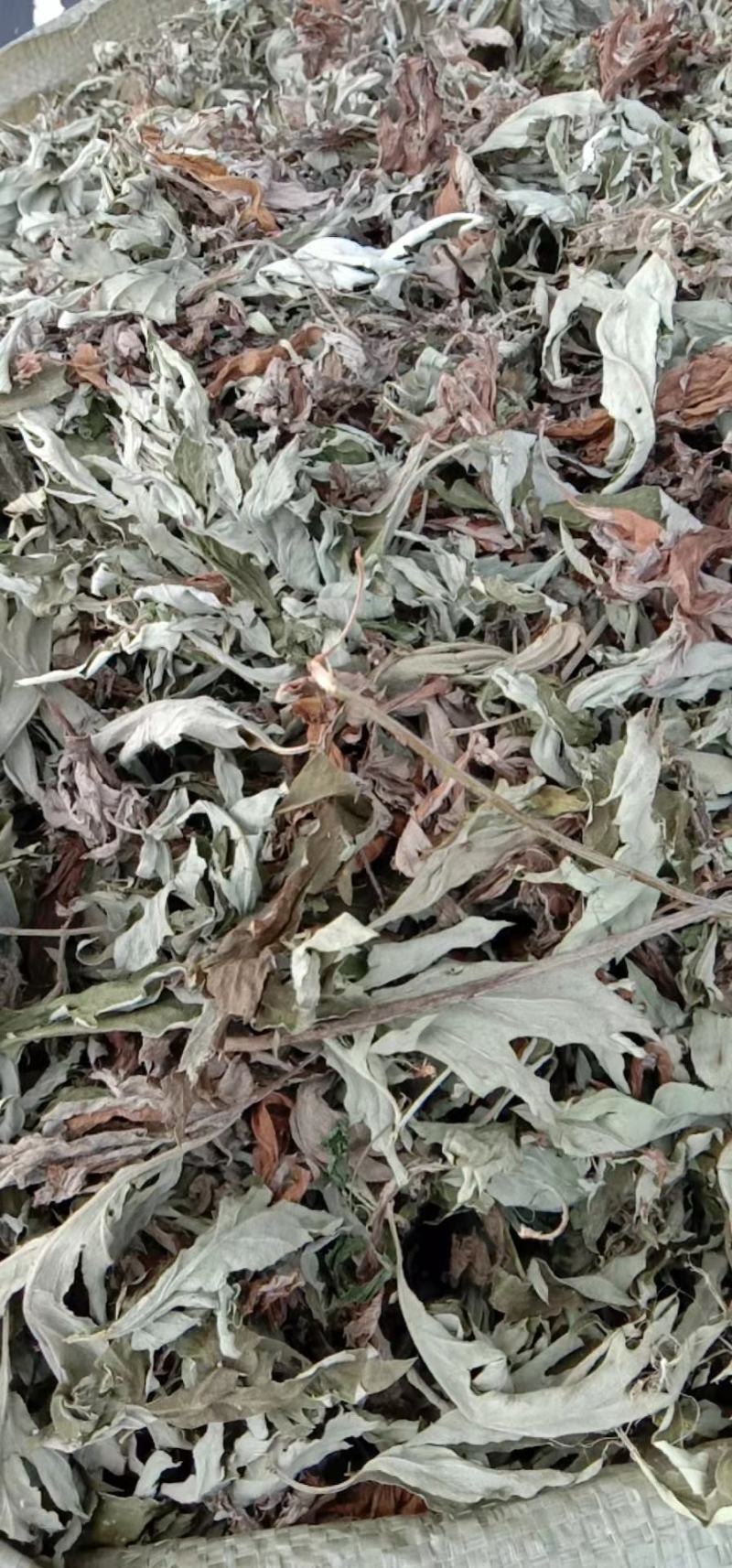 艾叶艾草干艾叶，中草药批发干净无杂质量大从优产地