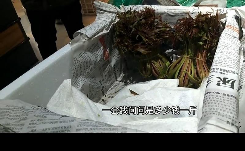 达州大竹红油香椿芽产地掉价了