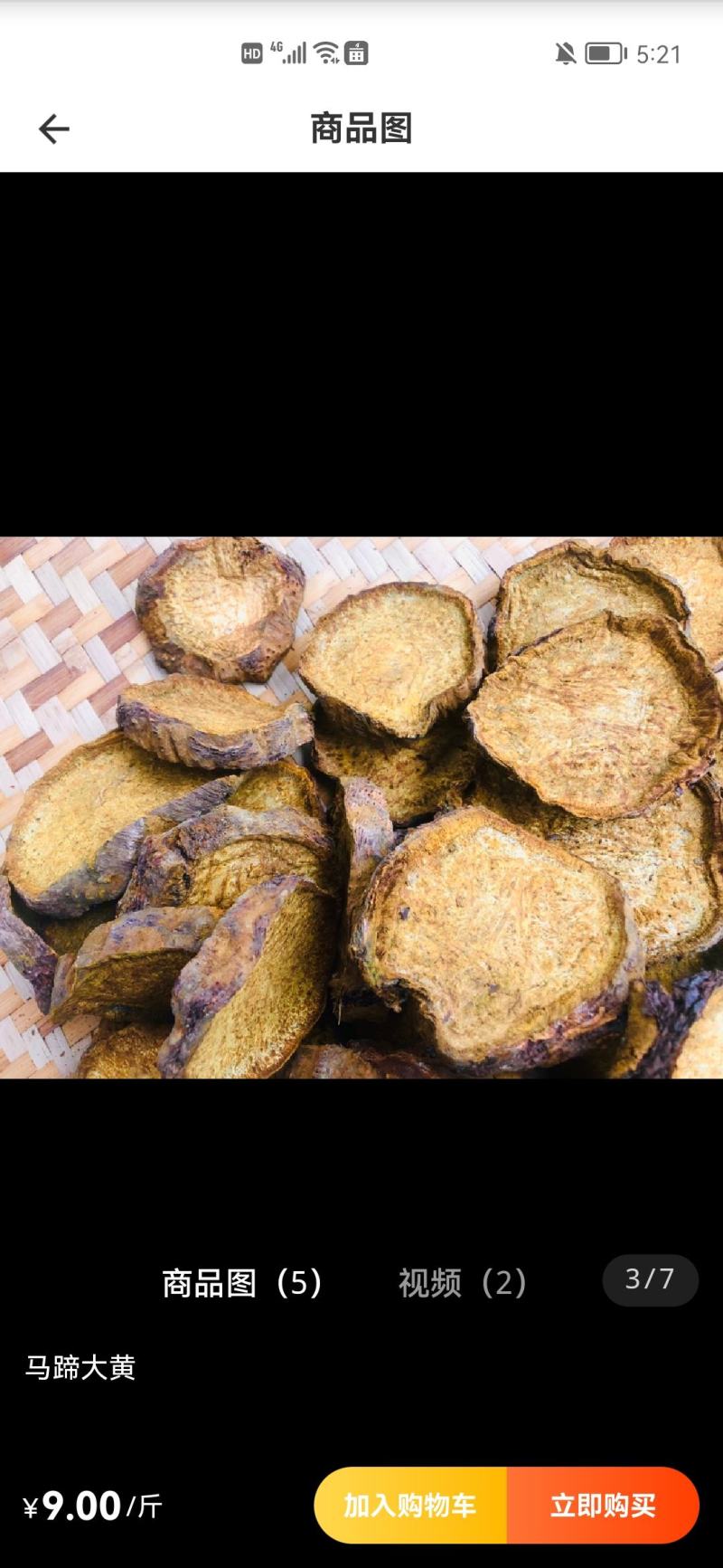 药用大黄