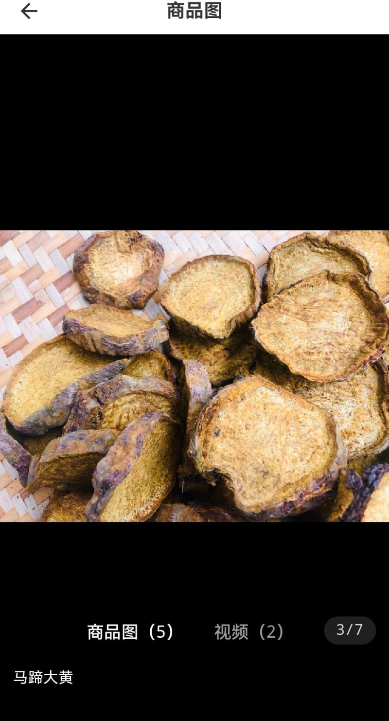 药用大黄
